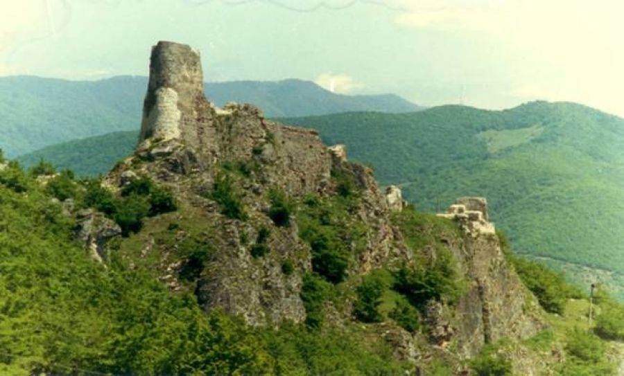 სააგენტოს პროექტების შესახებ ინფორმაციის მიწოდება სოფ.შომახეთი