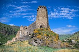 ასპინძის მუნიციპალიტეტის სოფელ ოშორაში შეხვედრა მოსახლეობასთან