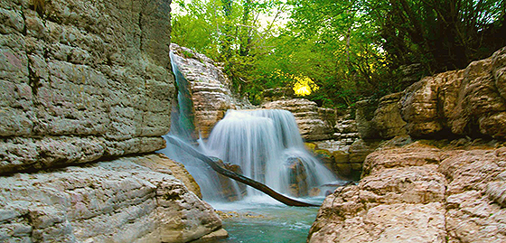 შეხვედრა მოსახლეობასთან ქ. მარტვილში, თემა: სახელმწიფო პროგრამები და სეზონური აგროსამუშაოები