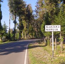 ოზურგეთის მუნიციპალიტეტი დაბა ნარუჯის მოსახლეობასთან შეხვედრა