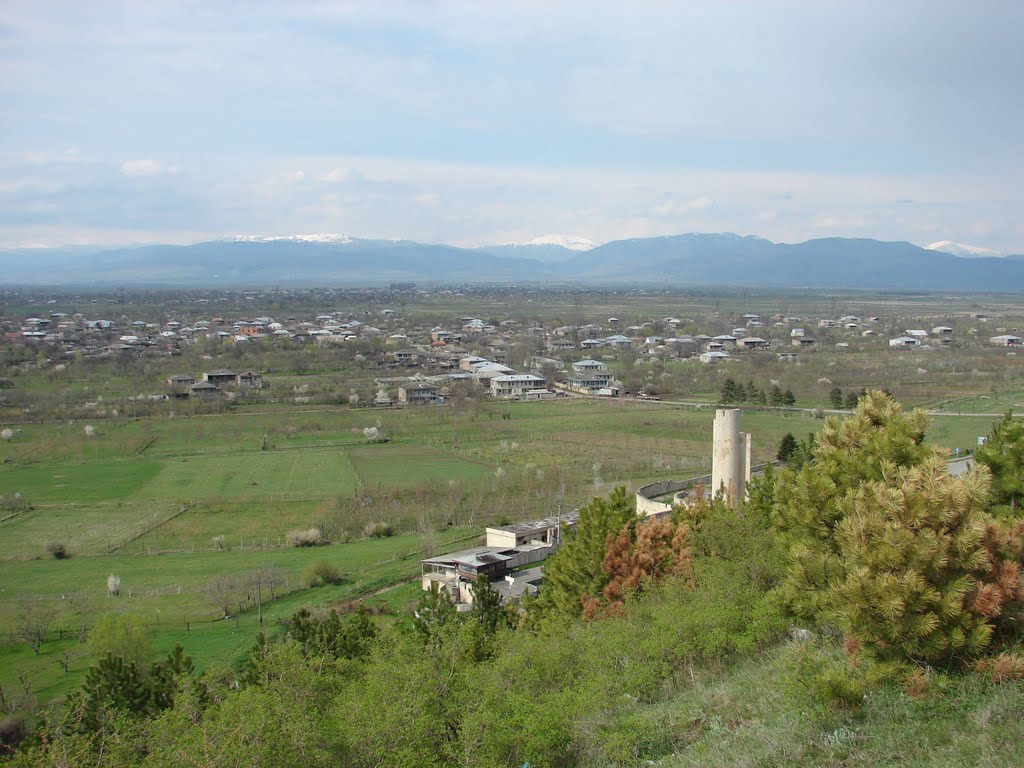 სააგენტოს პროექტების შესახებ ინფორმაცია, სასოფლო-სამეურნეო ექსტენცია, სოფლად პრობლემების იდენტიფიკაცია-ბერბუკი