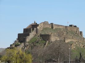 თანამედროვე ტექნოლოგიები, მეხილეობა, მებოსტნეობა-გორი, ტყვიავის თემი, სოფ. ტყვიავი