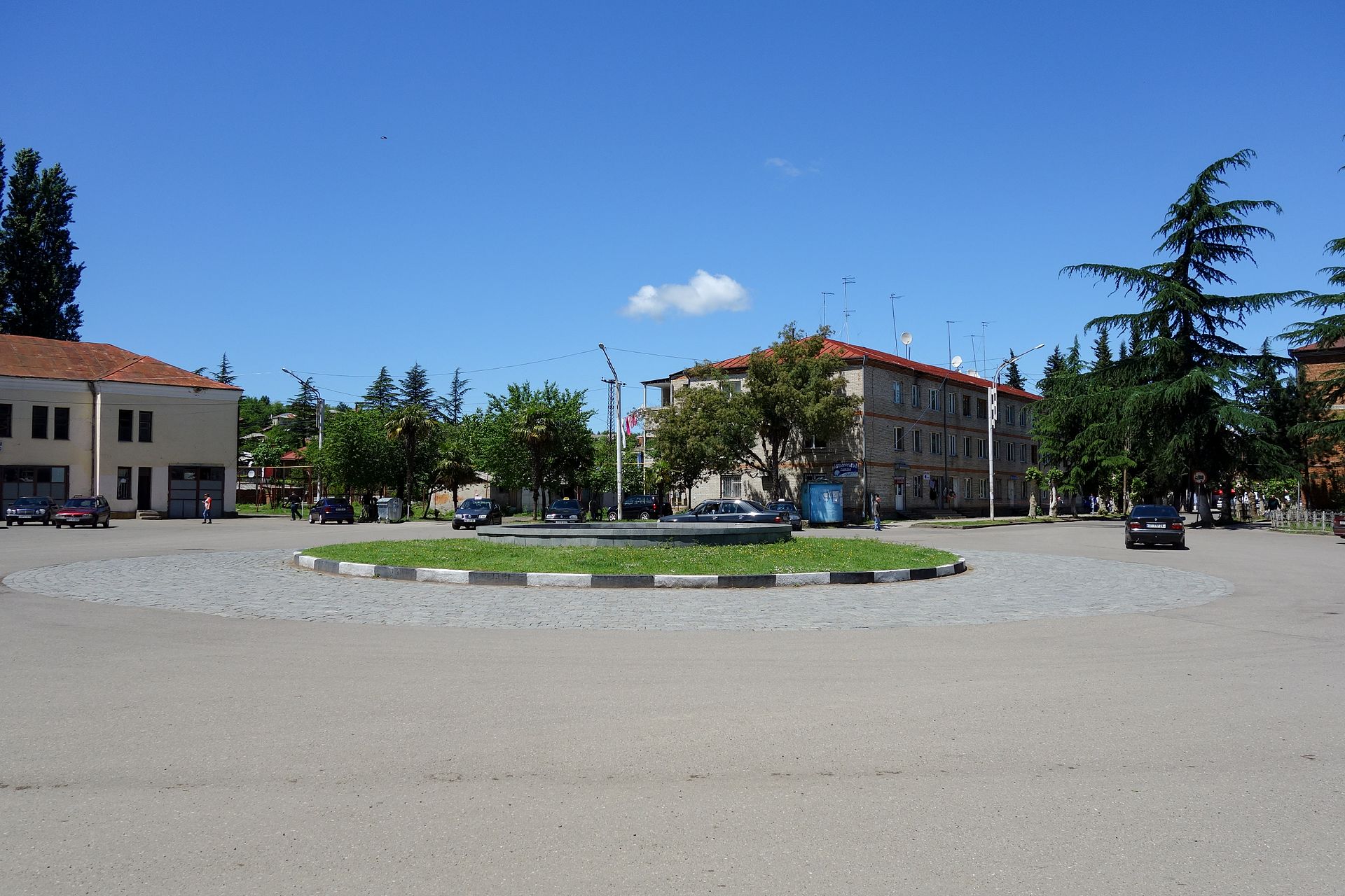 სააგენტოს პროექტების შესახებ ინფორმაციის მიწოდება  სოფელ დიდველაში