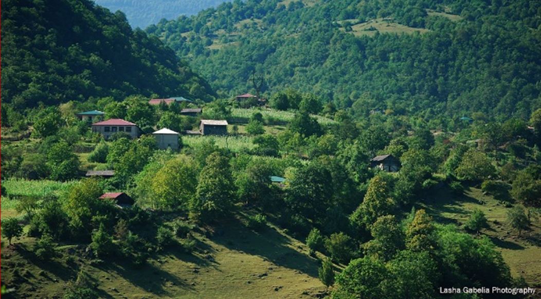  სააგენტოს პროექტების შესახებ ინფორმაციის მიწოდება